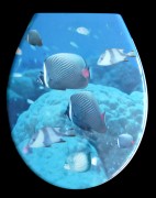 WC Sitz Duroplast Fische, Absenkautomatik, abnehmbar