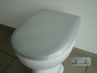 WC Sitz Silbermetallic Olfa