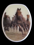 WC Sitz Wildpferde